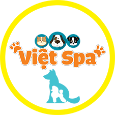 Việt Spa thú cưng Tây Ninh