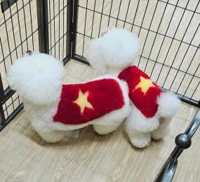 Dịch Vụ Lưu Trú Cho Chó