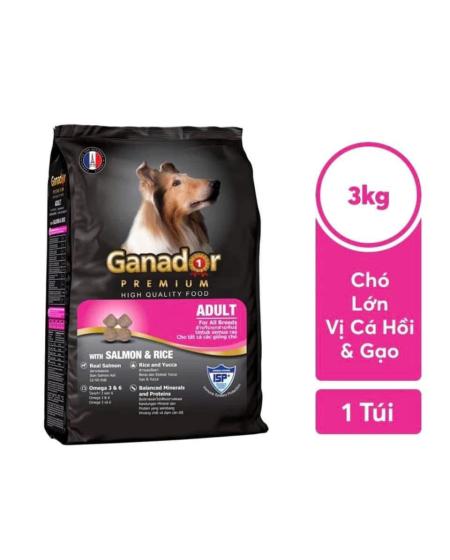 Ganador 3kg vị cá hồi + gạo adult 