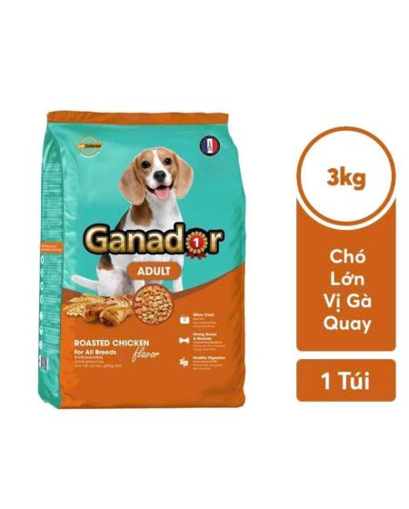 Ganador 3kg gà quay adult 
