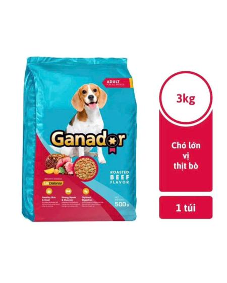 Ganador 3kg vị bò adult 