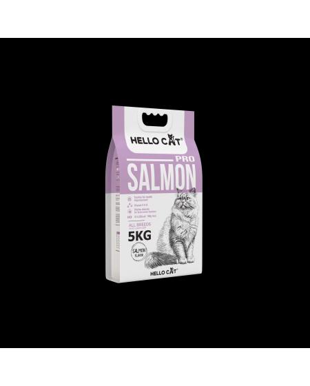 Hạt hello cat salmon pro 5kg