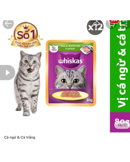 Pate whiskas mèo vị cá ngừ & cá trắng 80g 