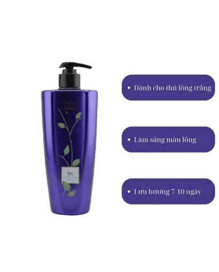 Sữa tắm show queen 500ml lông trắng