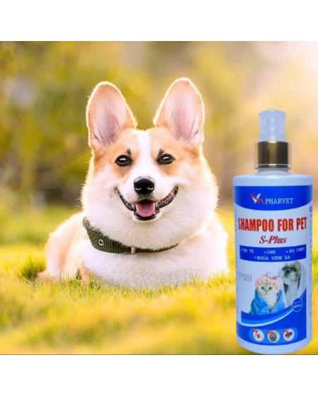 Sữa tắm shampoo for pet