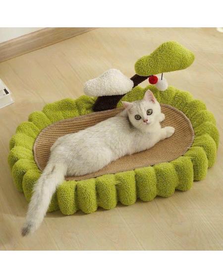 Cào móng cây tiền 
