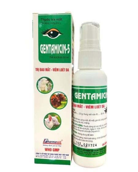 Ira mắt GENTAMICIN-5