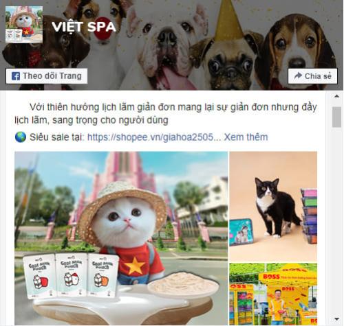 Việt Spa thú cưng Tây Ninh