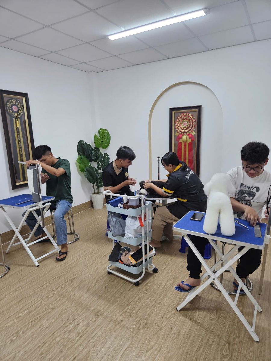 đào tạo học viên chăm sóc thú cưng tại Tây Ninh