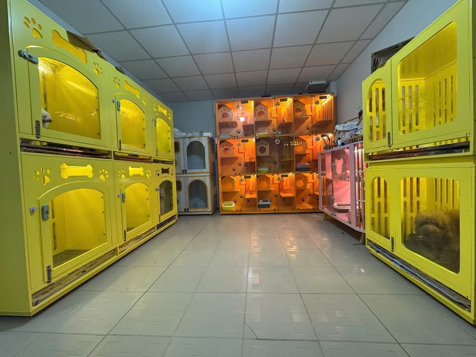 Dịch Vụ Lưu Trú Cho Chó Tại Tây Ninh