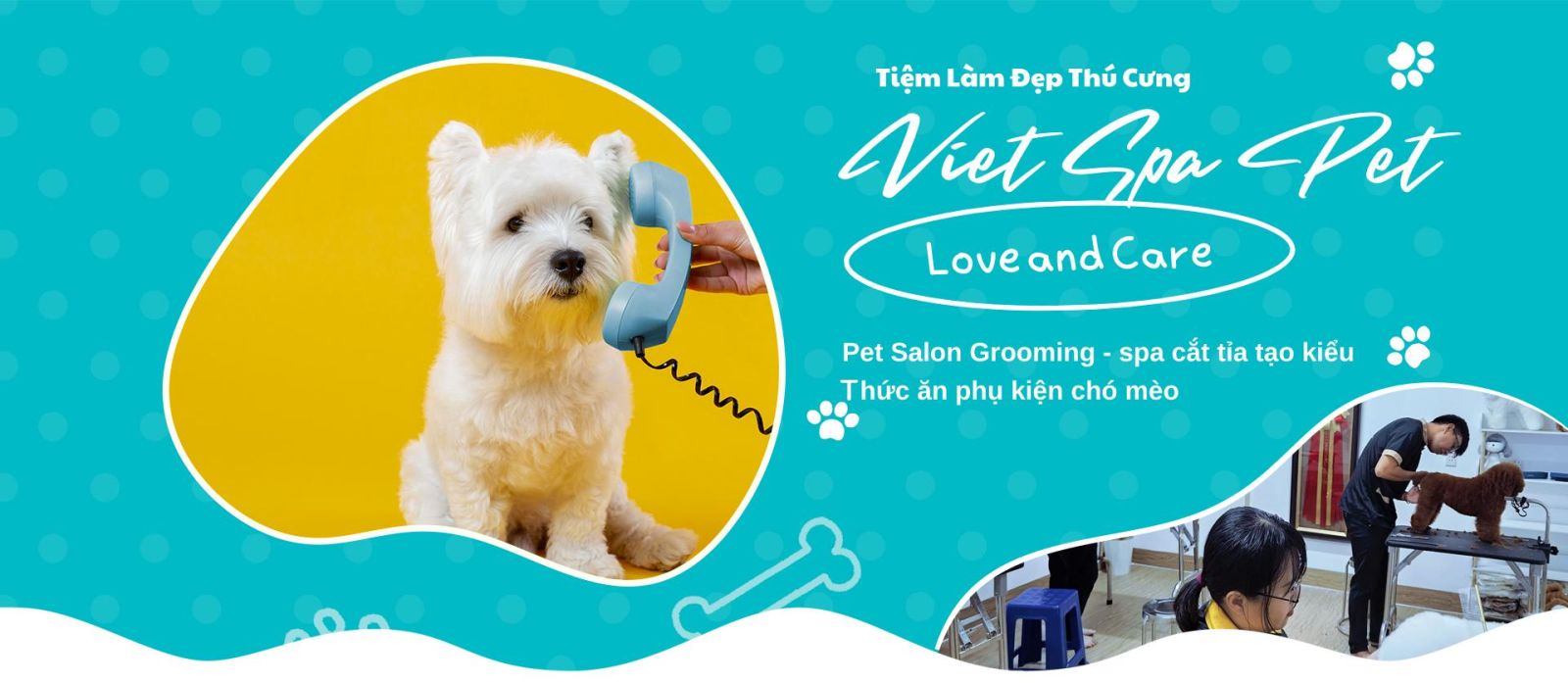 Hướng dẫn cách cắt tỉa lông chó Poodle tại nhà